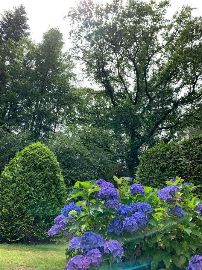 Villa Zonnebos, Private Garden, Fresh Air, Relax! Otterlo Exterior foto