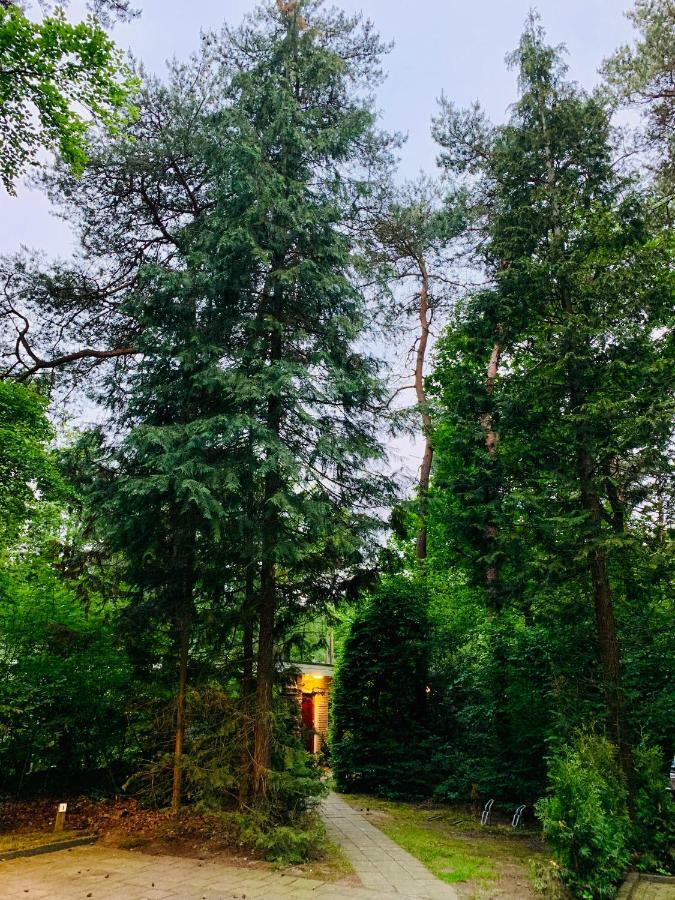 Villa Zonnebos, Private Garden, Fresh Air, Relax! Otterlo Exterior foto